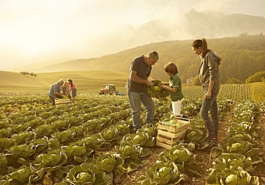 agricoltura finanziamento GAL appennino aretino 603030